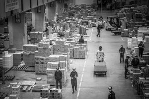 Workplace Violence and the Mangione Permission Structure